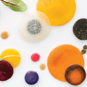 Linked Image Grid with Captions1