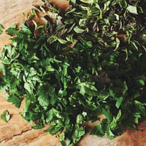 Linked Image Grid with Captions1