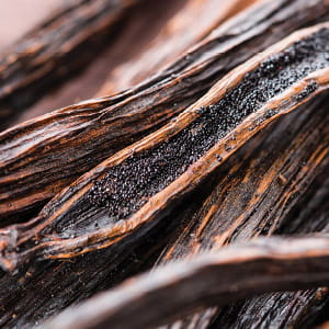 Linked Image Grid with Captions1