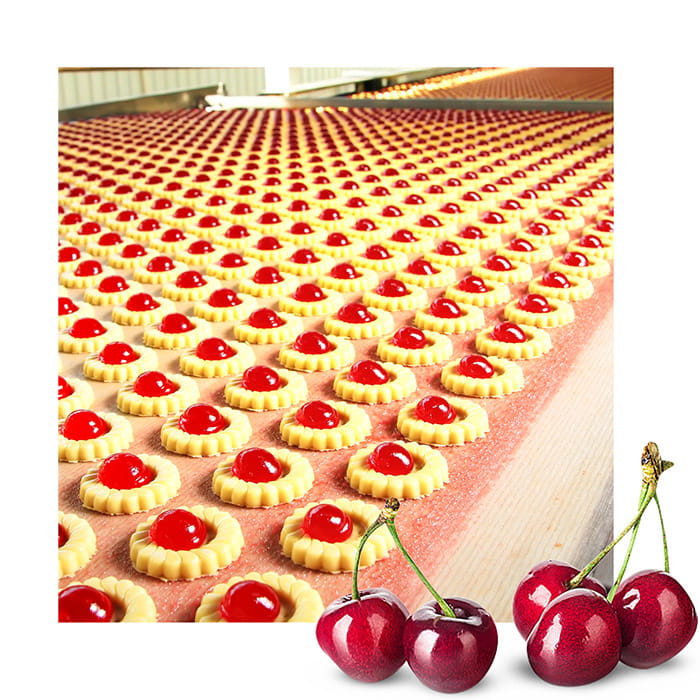 CFS_HalfCopyHalfImage Our Solutions 5