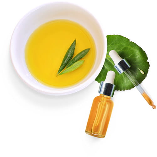 CFS_HeadlineIntroImage Our Solutions