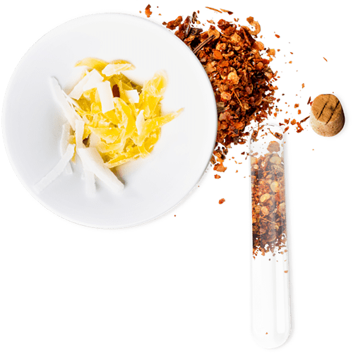 CFS_HeadlineIntroImage Fusion Art Science